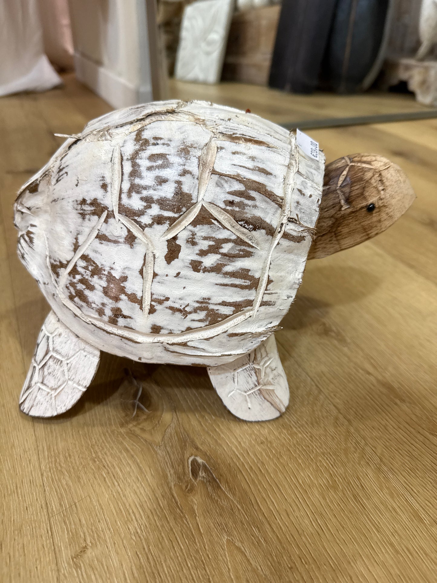 Grande tortue coco blanchie