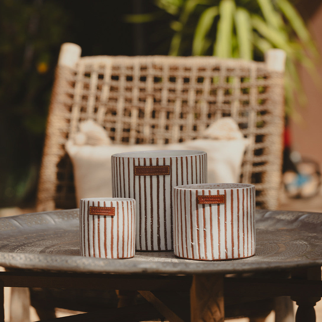 Bougie Zébré Terra – Kamoun/Cumin