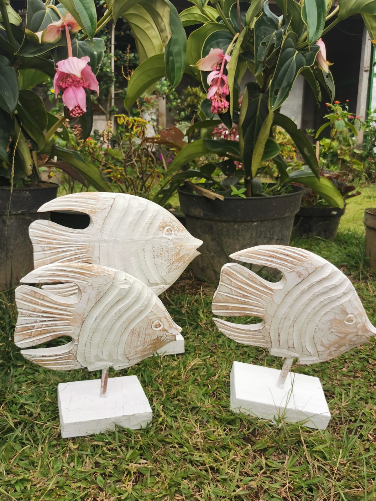 Poisson décoratif en bois sculpté – Petit modèle