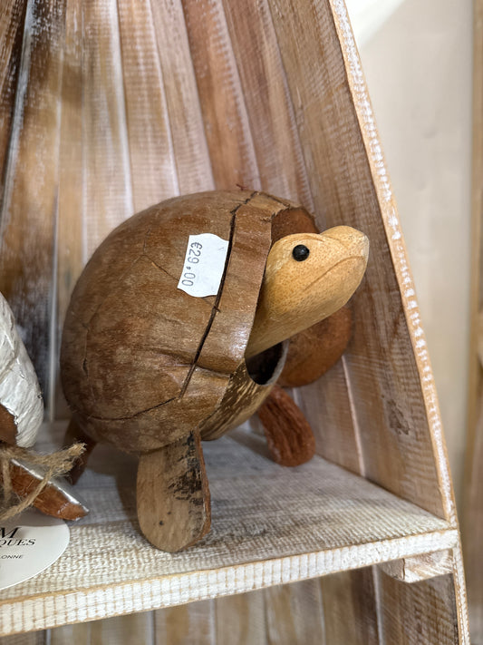 Petite tortue coco Naturelle