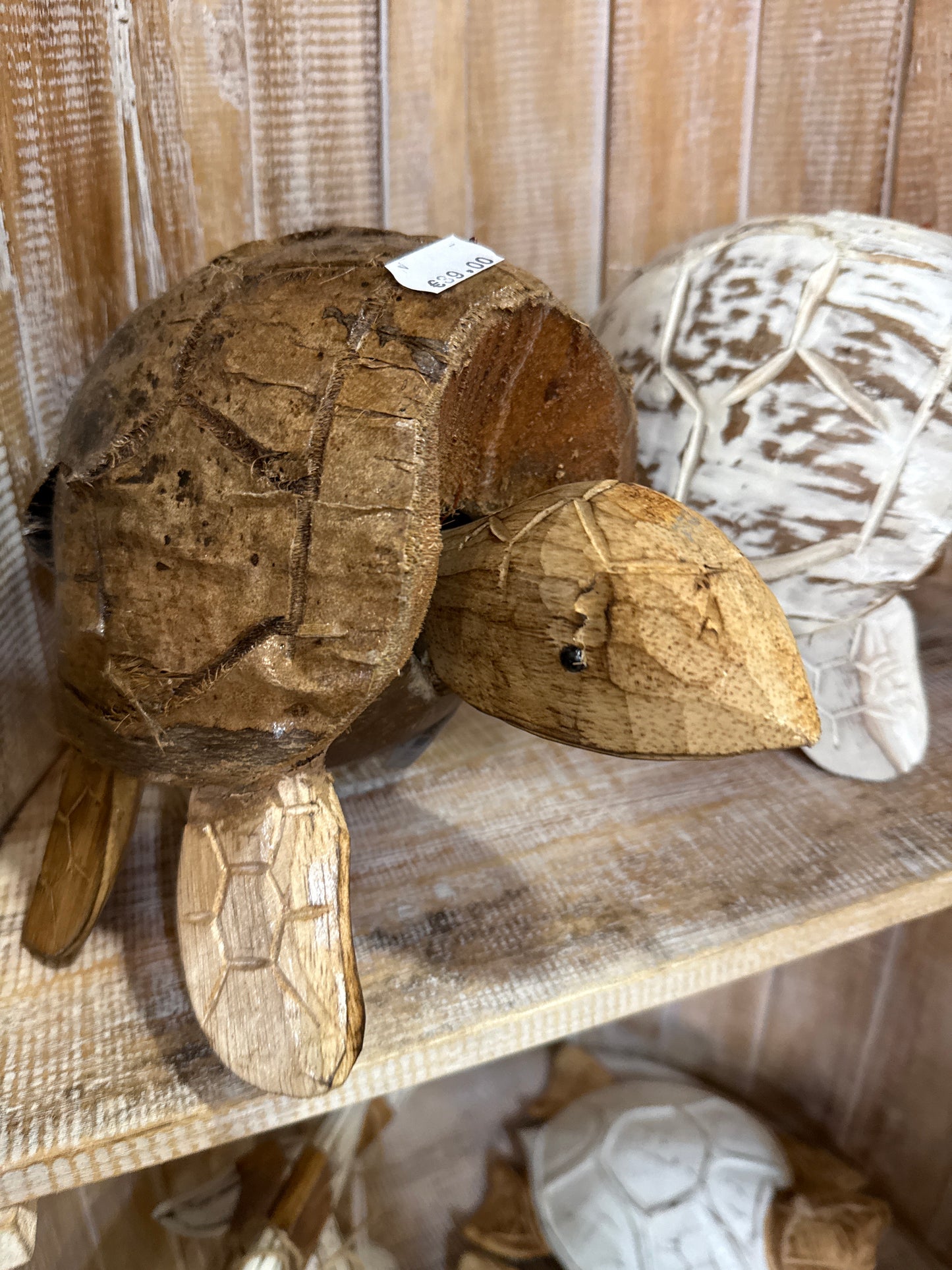 Grande tortue coco naturelle