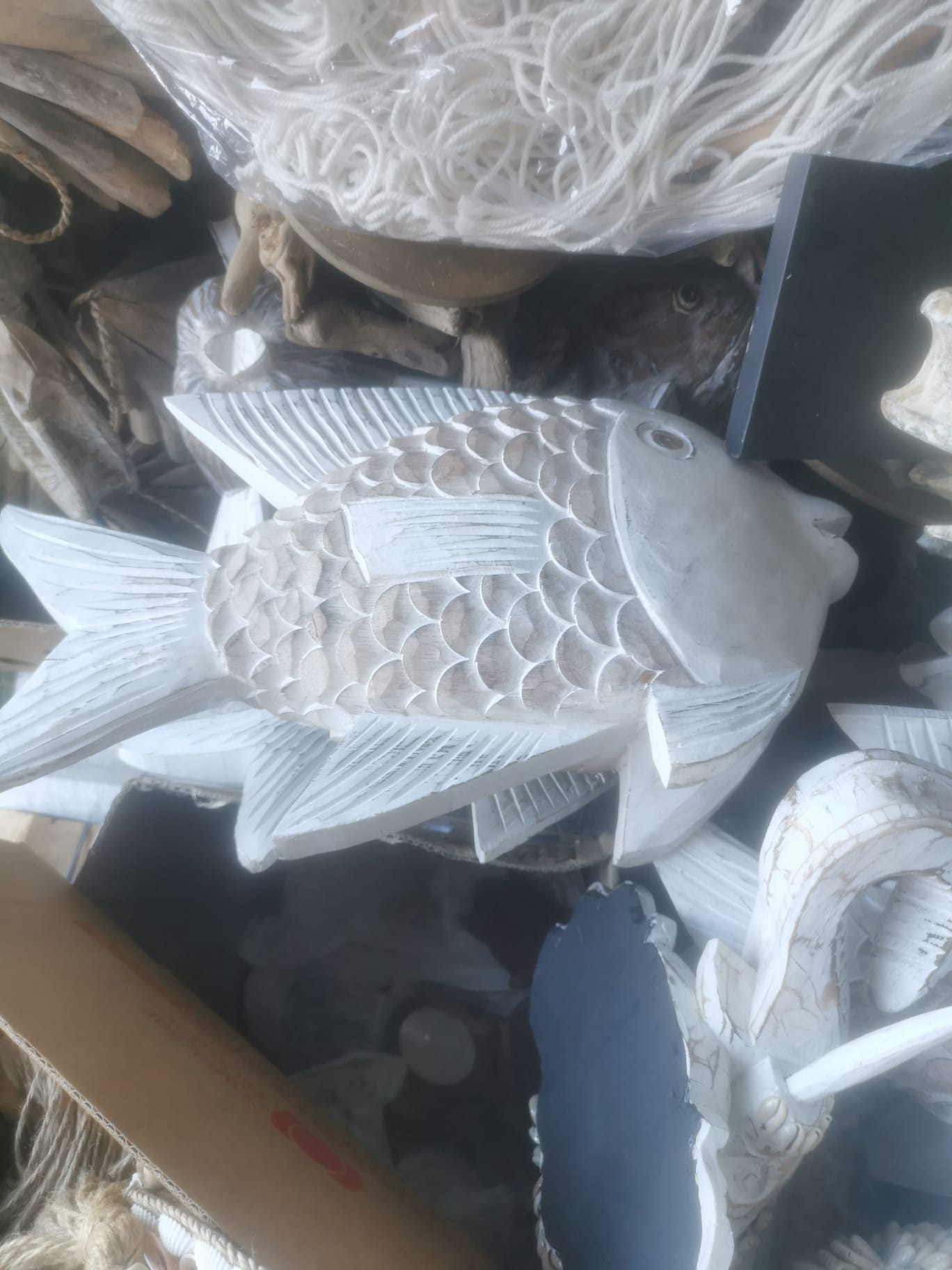 Poisson albizia blanc blanchi 30x50x15 cm