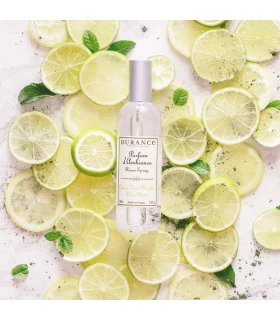 Parfum d'ambiance 100 mL Citron Vert-Menthe